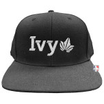 Ivy League (IVY) Baseball Umpire Cap