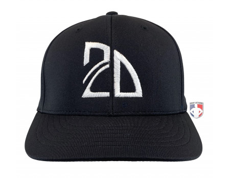 2D Sports (2D) Baseball Umpire Cap