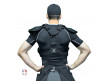 CP135 Champro Pro-Plus Umpire Chest Protector Worn back View