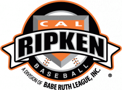 Cal Ripken Baseball
