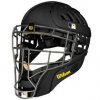 Umpire Helmet